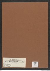 Asterolampra dicera Grev. (de-Toni-Nr.: Genus 235, Species 5679) Zeichnungen Sammlung Grunow Mappe 05236 (Herbarium_W_Grunow_drawings_Folder_05236)